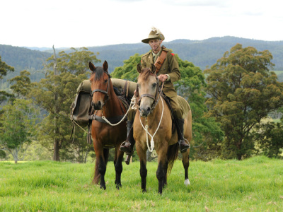 Dorrigo-Light-Horse-624